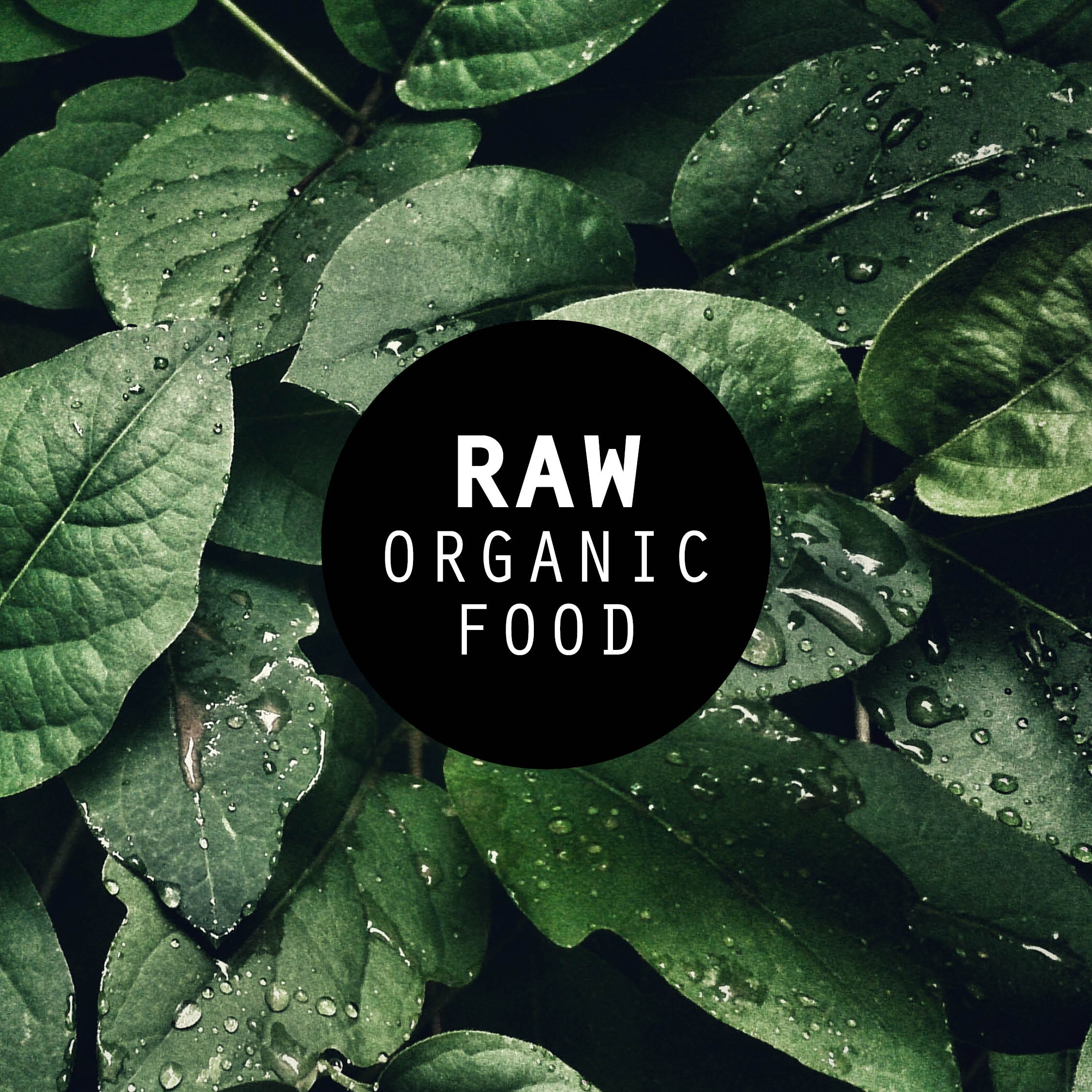 raw-plants - Raw Organic Food